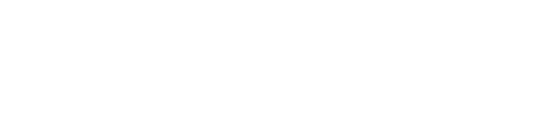 Logo Sino Doll